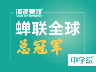 蝉联和平海报全球总冠军